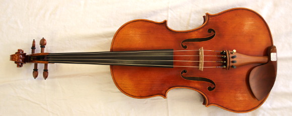 Zhu.Viola1