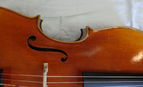 Cello, Paolo Lorenzo